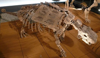 Fukui Dinosaur Museum