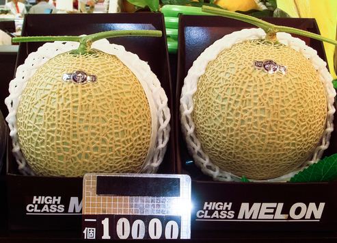 melon อีก 1 ของฝากจากญี่ปุ่นที่น่าสนใจ