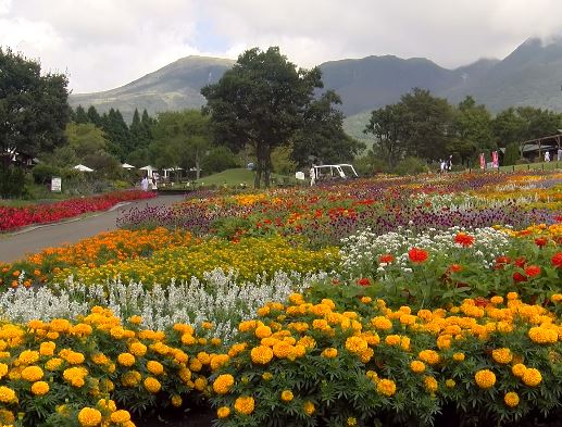 Kuju Flower Park