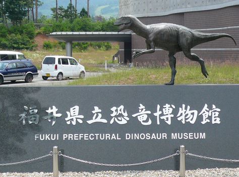 ชมพิพิธภัณฑ์ไดโนเสาร์แห่งฟุกุอิ