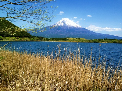 เที่ยวญี่ปุ่นที่ทะเลสาบ Tanuki