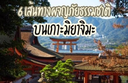 6 เส้นทางผจญภัยธรรมชาติบนเกาะมิยาจิมะ